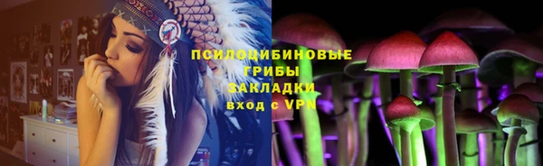 ПСИЛОЦИБИНОВЫЕ ГРИБЫ Алексеевка