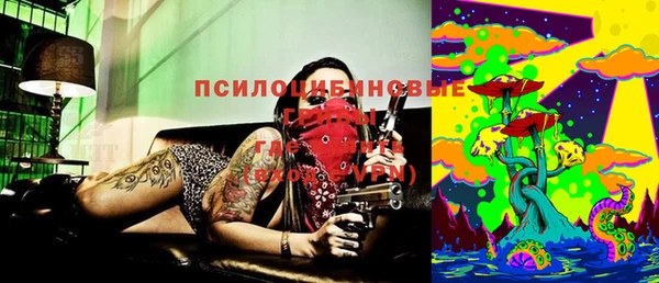 ПСИЛОЦИБИНОВЫЕ ГРИБЫ Алексеевка
