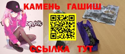 сатива Новозыбков