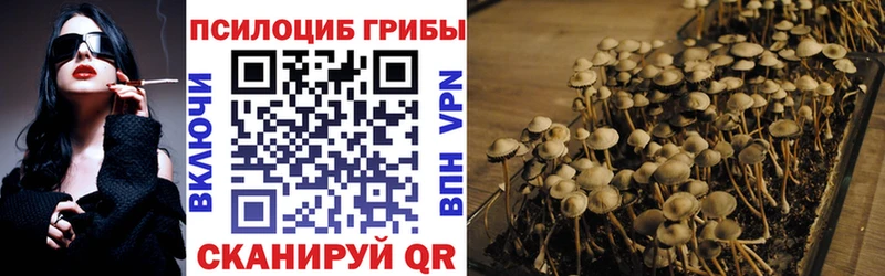 Галлюциногенные грибы мухоморы  Губкин 