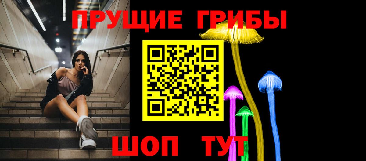 Губкин  Галлюциногенные грибы мицелий  дарнет шоп  Псилоцибиновые грибы Cubensis  Вход с VPN 