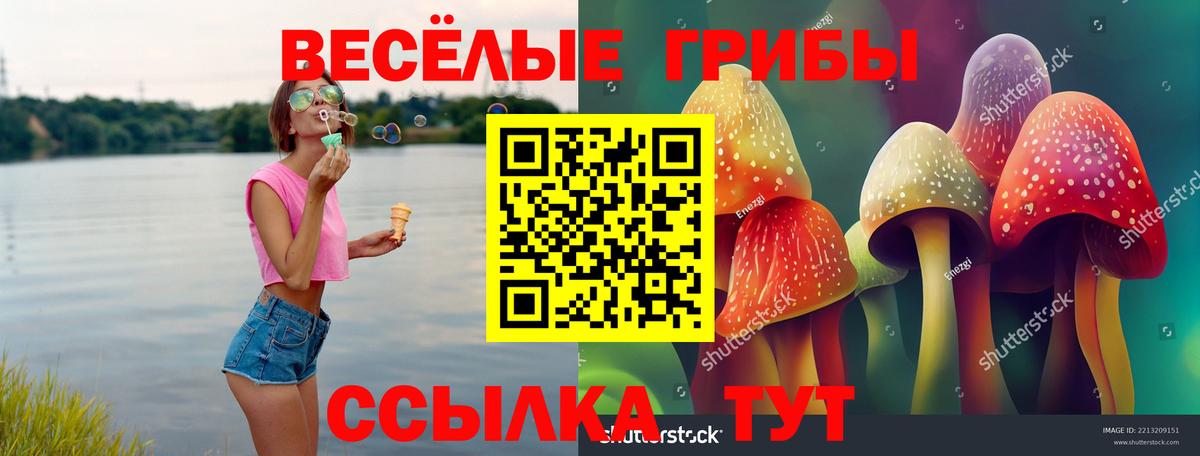 Галлюциногенные грибы ЛСД Губкин