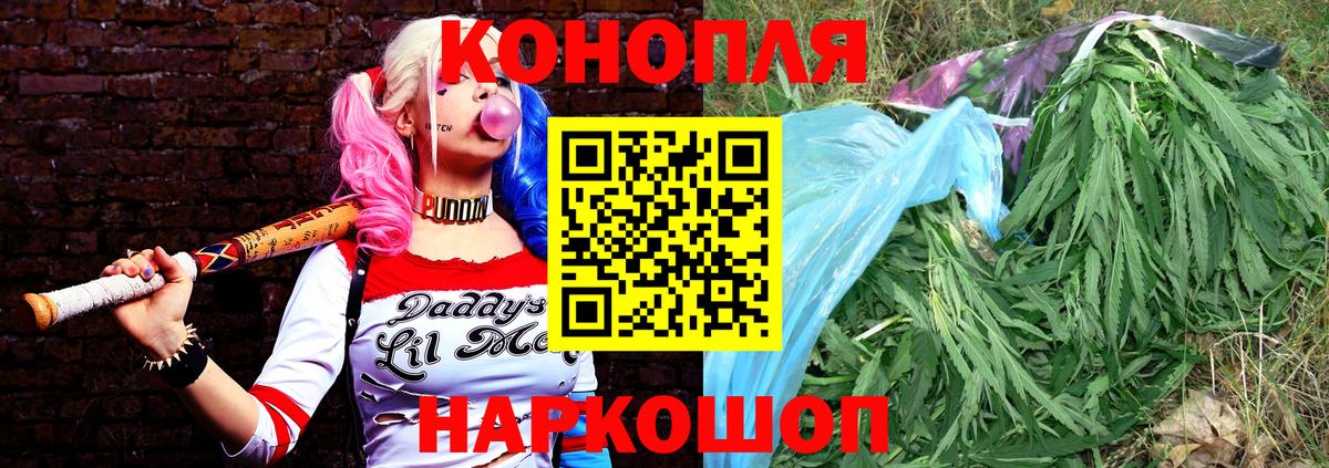 Каннабис OG Kush Губкин